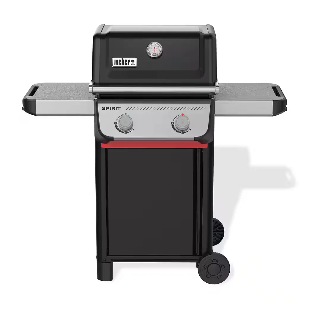 Gasgrill SPIRIT E-210 2025 BBQ Outdoor