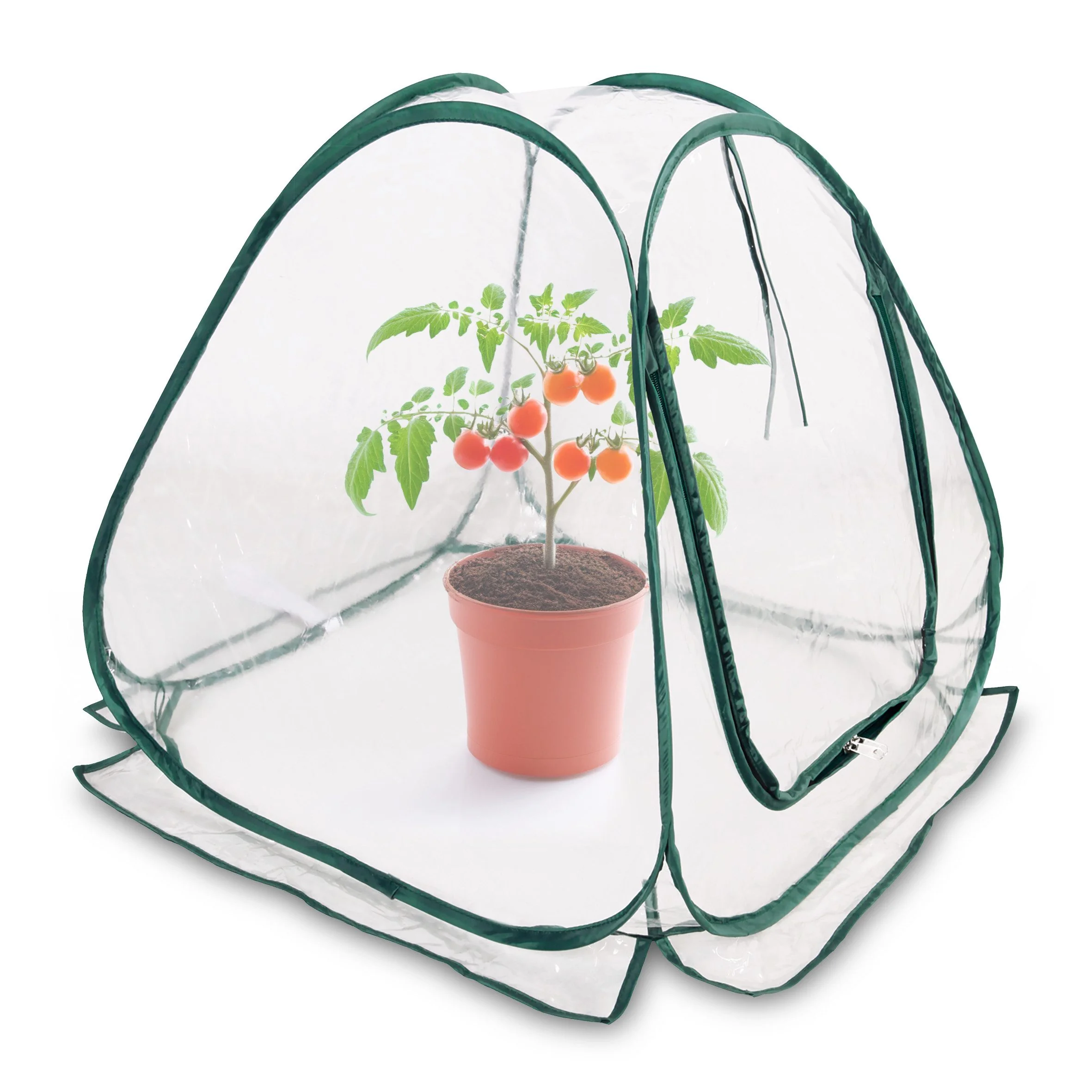 SPETEBO Foliengewächshaus Mini Pop-Up 60 x 60 cm Anzucht Pflanzen