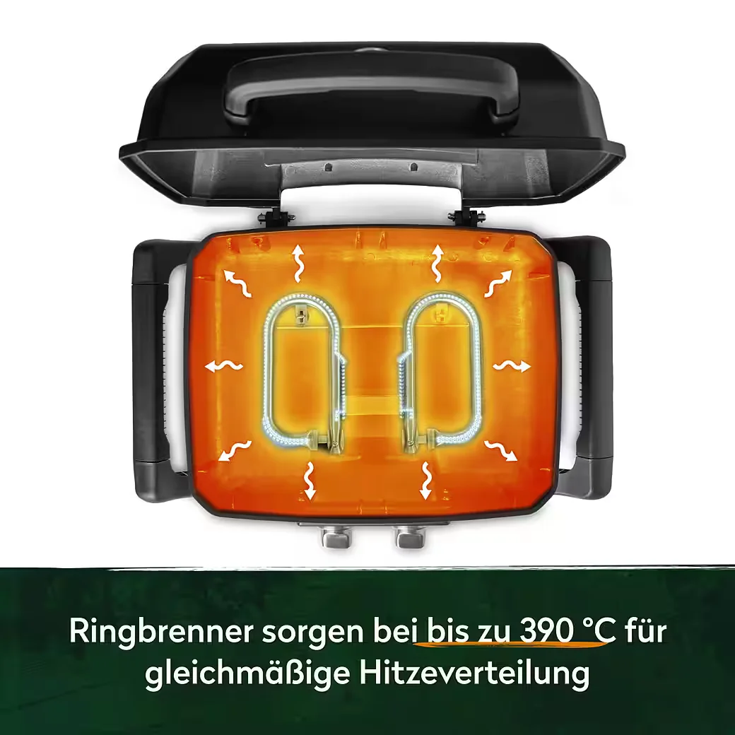 WAYNE Gasgrill 2 Brenner 4,4 kW Tragbarer Balkongrill Camping Outdoor