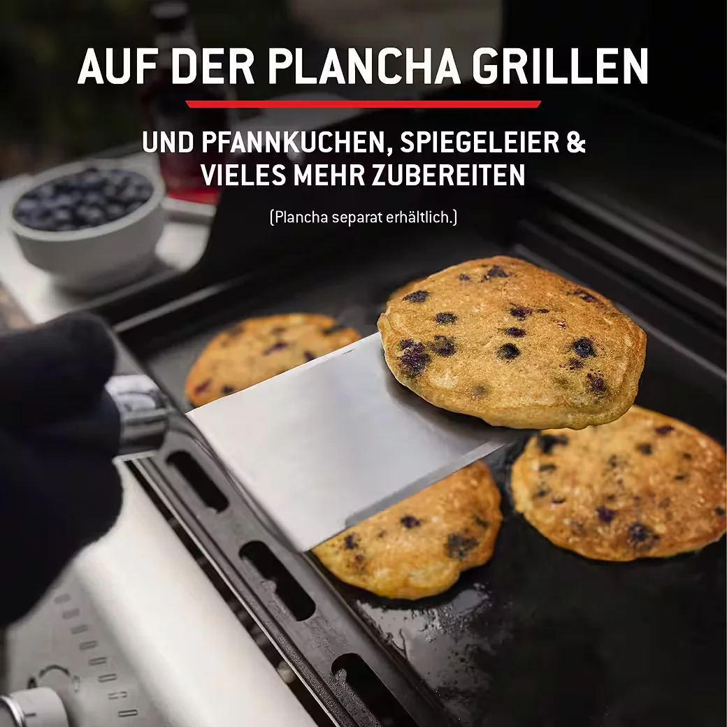 Gasgrill SPIRIT E-210 2025 BBQ Outdoor