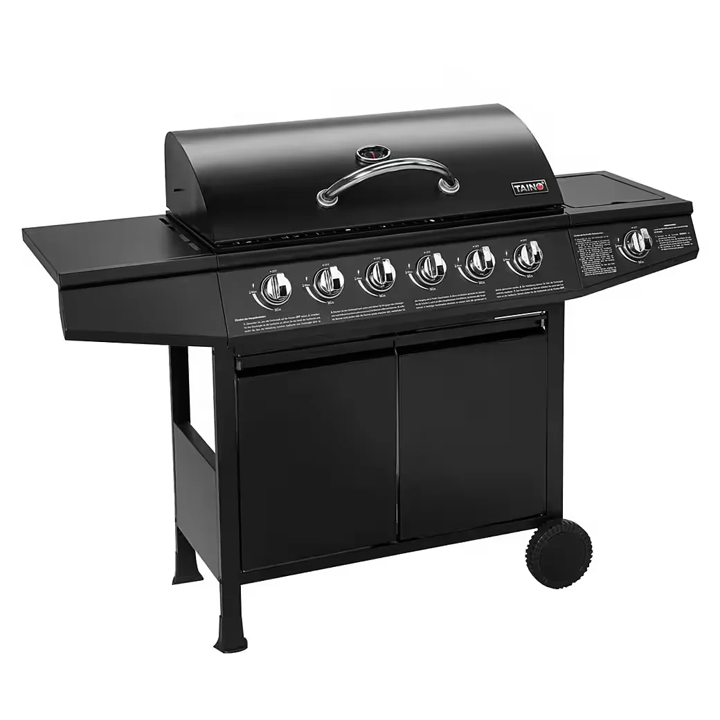 Gasgrill BASIC für BBQ im Garten Outdoor