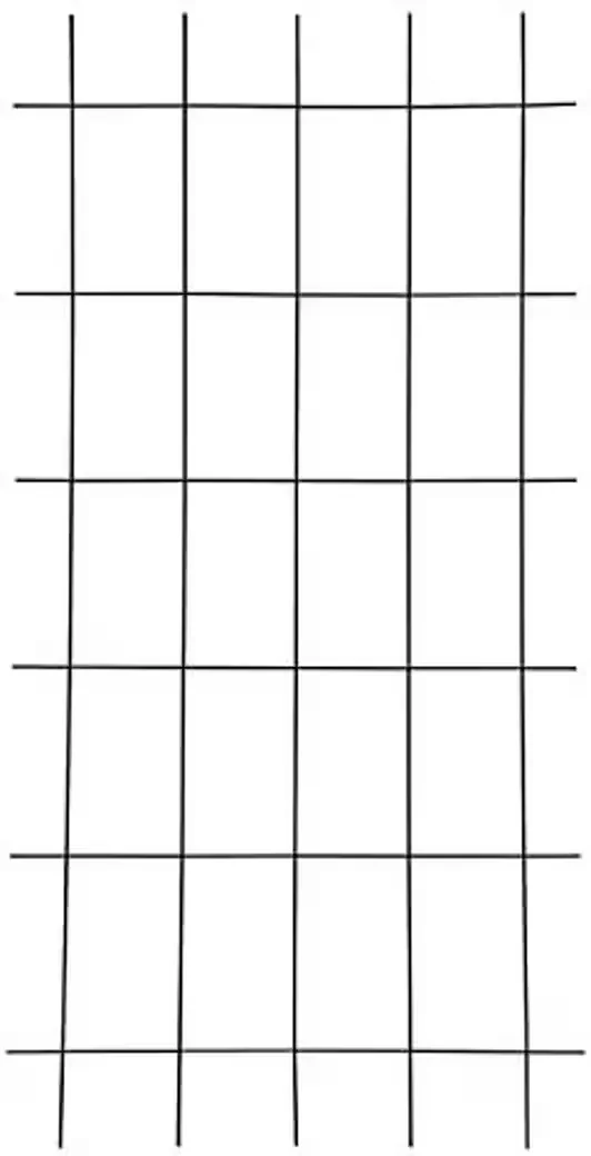 TESTRUT Gitterspalier 150 x 45 cm grün Rankgitter für Kletterpflanzen