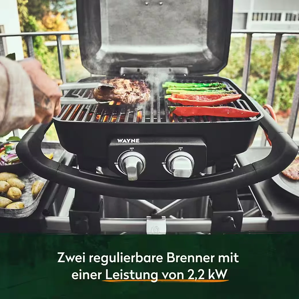 WAYNE Gasgrill 2 Brenner 4,4 kW Tragbarer Balkongrill Camping Outdoor