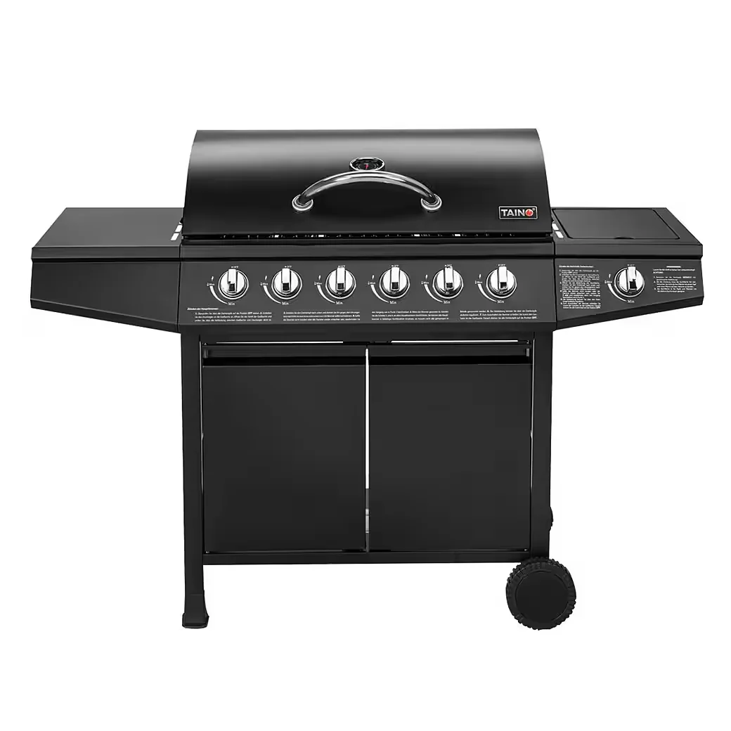 Gasgrill BASIC für BBQ im Garten Outdoor