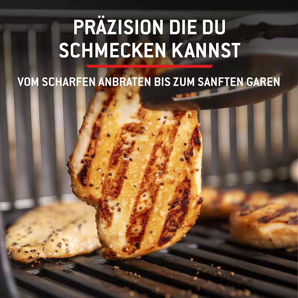 Gasgrill SPIRIT E-210 2025 BBQ Outdoor