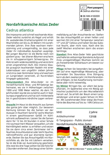 SAFLAX Blumensamen Nordafrikanische Atlas Zeder Baumsamen Konifere