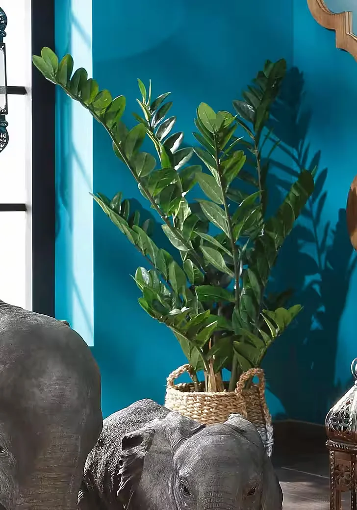 Kunstpflanze Zamifolia Zimmerdeko pflegeleicht immergrün