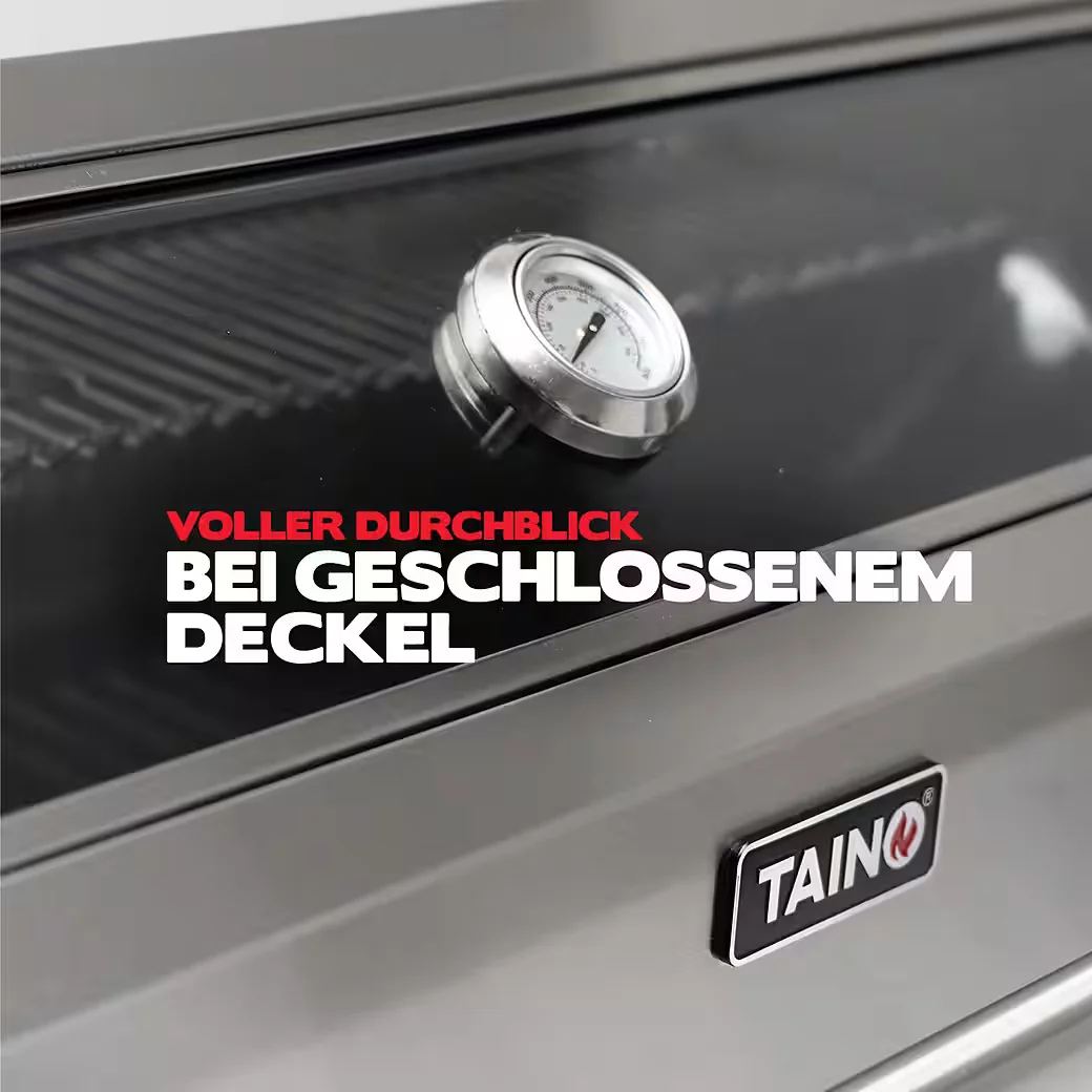 TAINO Gasgrill BBQ Outdoor Gartengrill