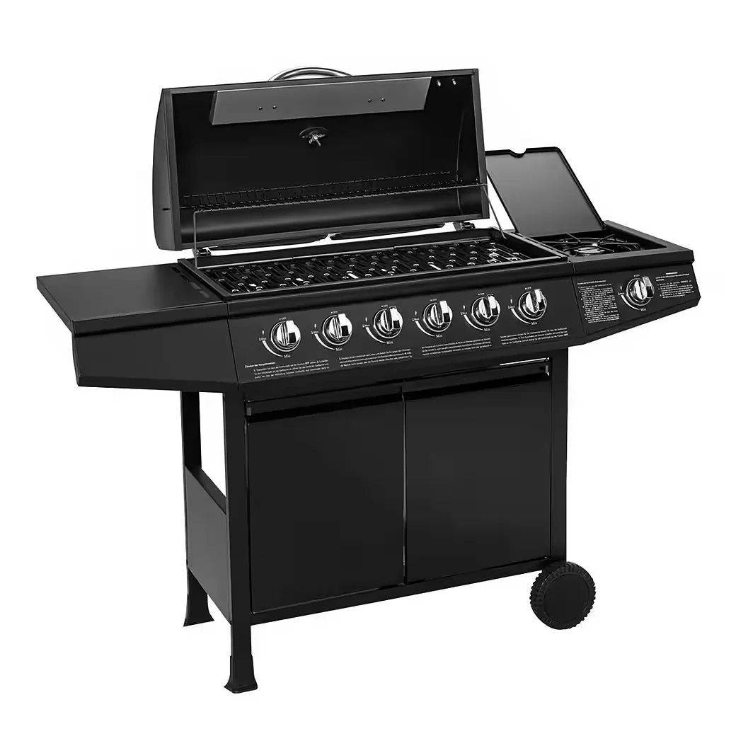 Gasgrill BASIC für BBQ im Garten Outdoor