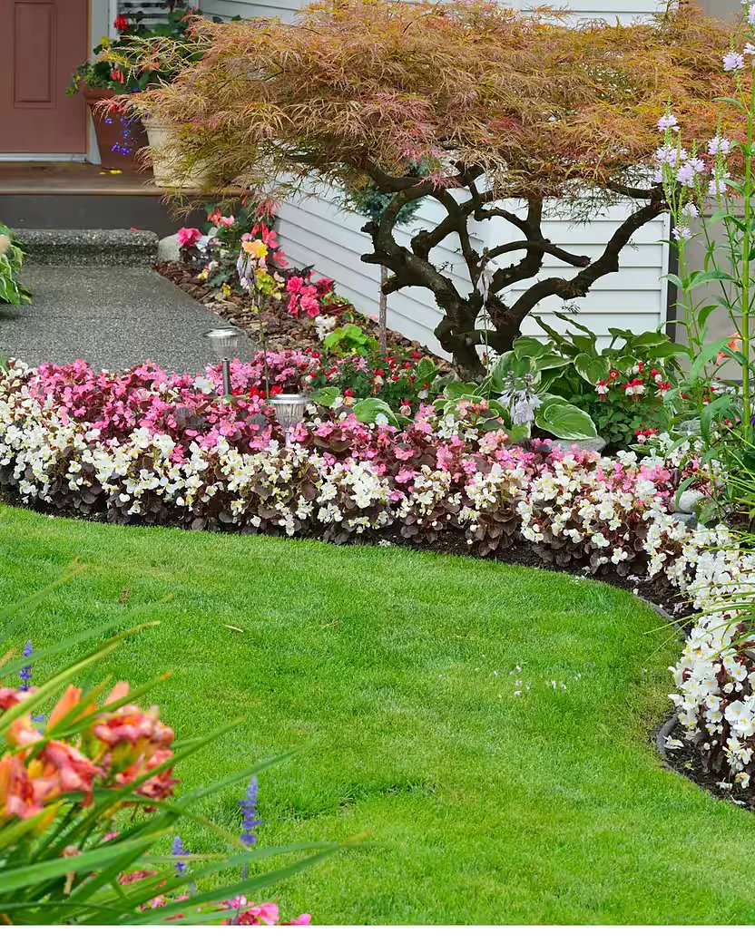 ERAGREEN Rasenkante Beetumrandung Mähkante Garten Gehweg 10 m 4 cm