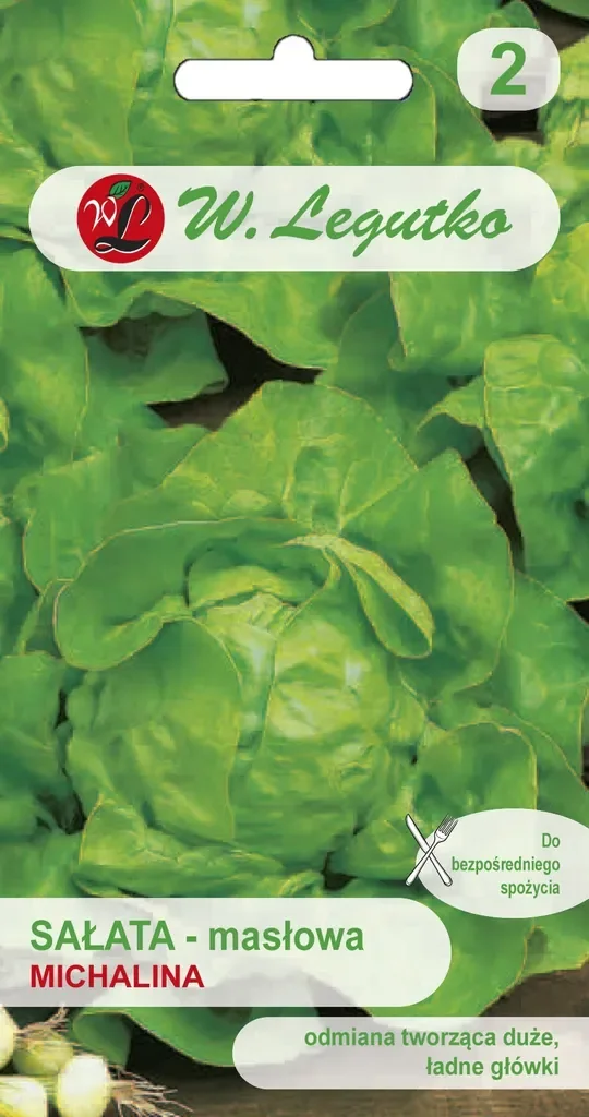 Kopfsalat Michalina Samen 1 g von W.Legutko hochwertiges Saatgut