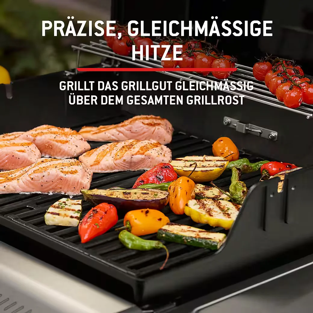 Gasgrill SPIRIT E-210 2025 BBQ Outdoor