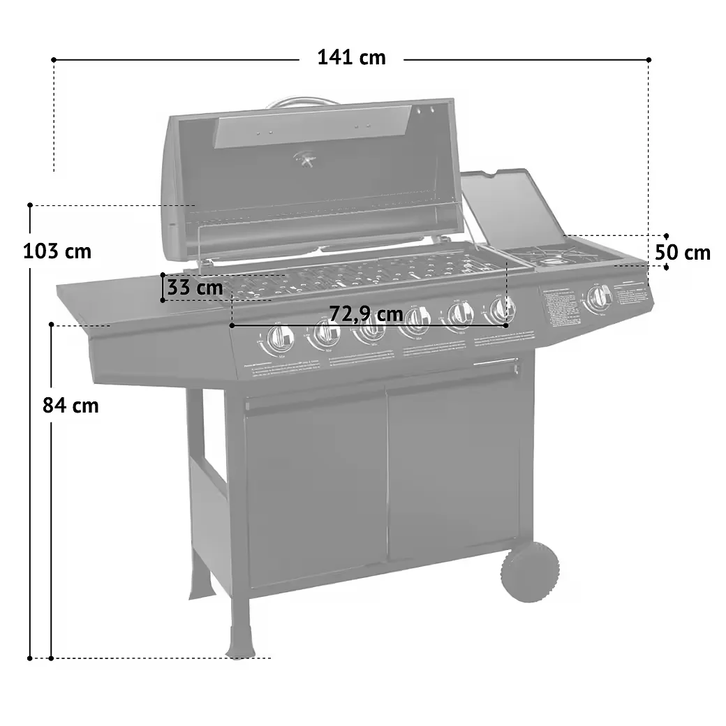 Gasgrill BASIC für BBQ im Garten Outdoor