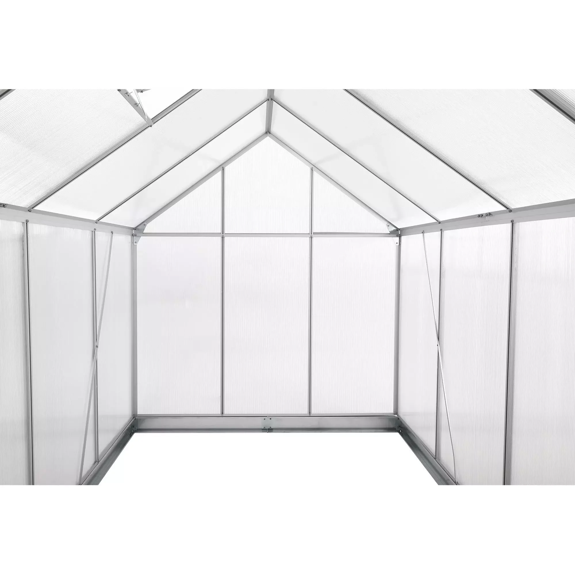 Zelsius Aluminium Gewächshaus SET 310 x 190 cm Garten