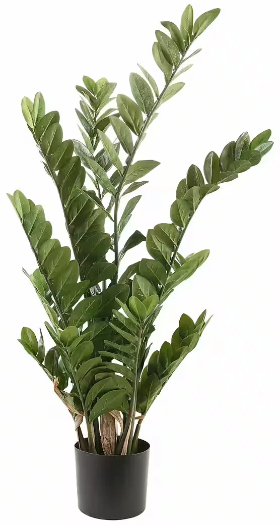 Kunstpflanze Zamifolia Zimmerdeko pflegeleicht immergrün