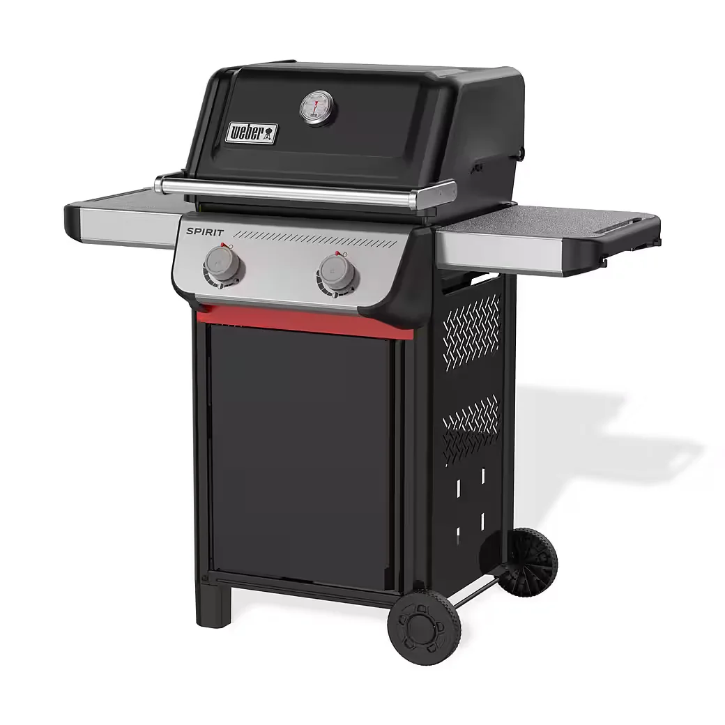Gasgrill SPIRIT E-210 2025 BBQ Outdoor
